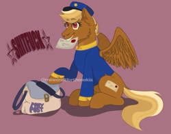 Size: 917x719 | Tagged: safe, artist:minecraftforthenokia, imported from derpibooru, pegasus, pony, bag, blonde, clothes, female, forced meme, hat, letter, mare, mouth hold, raised hoof, red background, red eyes, shitfuck meme, signature, simple background, sitting, smiling, spread wings, stars, swift reply, text, uniform, vulgar, wings