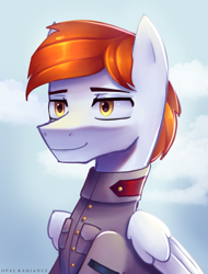 Size: 2029x2663 | Tagged: safe, artist:opal_radiance, imported from derpibooru, oc, pegasus, pony, equestria at war mod, bust, clothes, military, portrait, solo, uniform