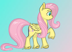 Size: 1500x1096 | Tagged: safe, artist:cutiecarbon, imported from derpibooru, fluttershy, pegasus, pony, unicorn, gradient background, solo, unshorn fetlocks