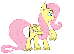 Size: 1000x731 | Tagged: safe, artist:cutiecarbon, imported from derpibooru, fluttershy, pegasus, pony, simple background, sketch, solo, unshorn fetlocks, wip