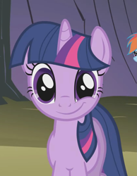 Size: 837x1080 | Tagged: safe, imported from derpibooru, screencap, rainbow dash, twilight sparkle, pegasus, pony, unicorn, dragonshy, season 1, cropped, duo, female, looking at you, mare, offscreen character, smiling, smirk, unicorn twilight
