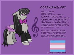 Size: 4000x3000 | Tagged: artist needed, source needed, safe, imported from derpibooru, octavia melody, pegasus, pony, alternate universe, character design, clothes, pride, pride flag, race swap, redesign, solo, transgender pride flag