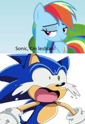 Size: 744x1080 | Tagged: safe, imported from derpibooru, screencap, rainbow dash, hedgehog, pegasus, female, lesbian, reaction image, sonic the hedgehog, sonic the hedgehog (series)