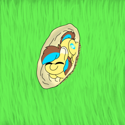 Size: 2048x2048 | Tagged: safe, artist:zugatti69, imported from derpibooru, oc, oc only, pegasus, pony, basket, blue mane, brown mane, cute, grass, grass field, happy, looking at you, looking up, looking up at you, lying down, ponyloaf, prone, smiling, smiling at you, solo, yellow fur