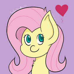 Size: 3000x3000 | Tagged: safe, artist:solardoodles, imported from derpibooru, fluttershy, pegasus, pony, bust, chest fluff, cute, floating heart, heart, portrait, purple background, shading, shyabetes, signature, simple background, smiling, solo