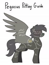 Size: 2056x2729 | Tagged: safe, artist:renderpoint, imported from derpibooru, pegasus, pony, anatomy guide, concave belly, monochrome, petting, petting guide, side view, silhouette, silly, simple background, slim, solo, spread wings, standing, thin, white background, wings, yes