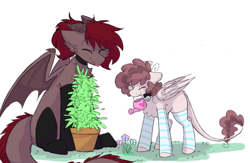 Size: 960x626 | Tagged: safe, artist:puppie, imported from derpibooru, oc, oc only, oc:raevyn, oc:whiskey dreams, bell, bell collar, chest fluff, collar, drugs, flower, flower pot, marijuana, no source available, plant, simple background, tongue out, watering can, white background