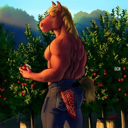 Size: 1300x1300 | Tagged: safe, artist:bgn, imported from derpibooru, big macintosh, anthro, horse, afternoon, apple, ass, back muscles, big backintosh, butt, clothes, food, handkerchief, hoers, looking at you, male, muscles, muscular male, nipples, nudity, pants, partial nudity, pecs, standing, topless