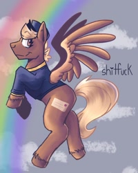 Size: 1080x1350 | Tagged: safe, artist:stormglory, imported from derpibooru, pegasus, pony, blonde, clothes, cloud, female, flying, forced meme, hat, mare, rainbow, shitfuck meme, sky background, smiling, solo, spread wings, swift reply, text, uniform, vulgar, wings