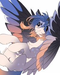 Size: 1729x2160 | Tagged: safe, artist:redchetgreen, imported from derpibooru, oc, oc only, pegasus, pony, chest fluff, coat markings, facial markings, flying, looking at you, pale belly, simple background, smiling, smiling at you, solo, spread wings, star (coat marking), white background, windswept mane, wings
