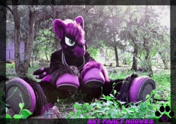 Size: 1280x908 | Tagged: safe, artist:ino89777, imported from derpibooru, oc, oc only, oc:sky fancy hooves, coat markings, forest, fursuit, horse collar, irl, photo, ponysuit, sitting, solo, spread legs, spreading, text, underhoof