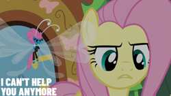Size: 2000x1125 | Tagged: safe, edit, edited screencap, editor:quoterific, imported from derpibooru, screencap, fluttershy, seabreeze, it ain't easy being breezies