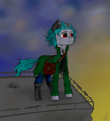 Size: 1000x1100 | Tagged: safe, artist:desperius, imported from derpibooru, oc, oc only, earth pony, pony, augmented, bulletproof vest, clothes, cloud, prosthetics, rooftop, simple background, solo