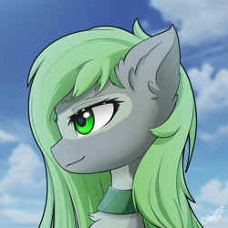 Size: 2048x2048 | Tagged: safe, artist:hugo231929, imported from derpibooru, oc, oc only, oc:jade stonesetter, pegasus, pony, bust, chest fluff, choker, cloud, cloudy, commission, cute, ear fluff, eyebrows, female, fireworks, green eyes, looking away, mare, open mouth, pegasus oc, portrait, profile picture, side view, sky, smiling, solo