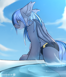 Size: 1540x1800 | Tagged: safe, artist:snowstormbat, imported from derpibooru, oc, oc only, oc:midnight snowstorm, bat pony, pony, bat pony oc, clothes, fluffy, speedo, swimming pool, swimsuit, water, wet