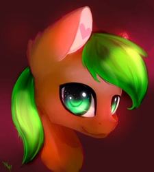 Size: 648x720 | Tagged: safe, artist:minckies, imported from derpibooru, oc, oc only, earth pony, pony, bust, earth pony oc, signature, smiling, solo
