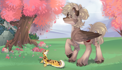 Size: 981x564 | Tagged: safe, artist:xvostik, imported from derpibooru, oc, oc only, oc:amoo, oc:amy bloodeye, pegasus, pony, zebra, blonde, blonde hair, blonde mane, cherry blossoms, flower, flower blossom, folded wings, gradient hooves, grass, hair bun, pegasus oc, pony oc, short tail, stripes, tail, tree, unshorn fetlocks, wings, zebra oc