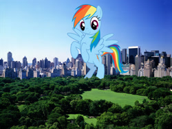 Size: 1600x1200 | Tagged: safe, artist:kishmond, artist:theotterpony, imported from derpibooru, rainbow dash, pegasus, pony, bipedal, female, giant pony, giantess, highrise ponies, irl, macro, mare, new york, photo, ponies in real life, solo, spread wings, story in the source, wings