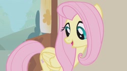 Size: 1920x1080 | Tagged: safe, imported from derpibooru, screencap, fluttershy, pegasus, swarm of the century, cute, open mouth, shyabetes, solo