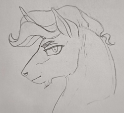 Size: 1984x1798 | Tagged: safe, artist:saby, derpibooru exclusive, imported from derpibooru, oc, oc only, oc:fritillary, pony, unicorn, black and white, bust, facial hair, flared nostrils, goatee, grayscale, looking at you, male, monochrome, pencil drawing, shrunken pupils, side view, simple background, smiling, smirk, solo, stallion, traditional art, wavy mane, white background