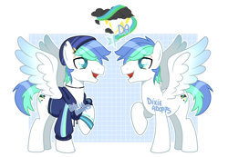 Size: 3332x2300 | Tagged: safe, artist:dixieadopts, imported from derpibooru, oc, oc:waterspout, pegasus, pony, clothes, hoodie, male, simple background, solo, stallion, transparent background
