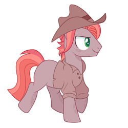 Size: 1280x1280 | Tagged: safe, artist:pinklem0nadepunk, imported from derpibooru, oc, oc only, earth pony, pony, base used, clothes, cowboy hat, hat, male, offspring, outline, parent:big macintosh, parent:maud pie, parents:macinmaud, shirt, simple background, smiling, solo, stallion, transparent background, white outline