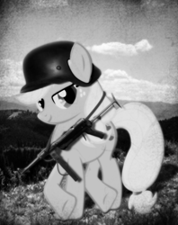 Size: 442x557 | Tagged: safe, imported from derpibooru, applejack, earth pony, pony, german, gun, monochrome, mountain, nazi, op is a duck, photo, retro, rifle, solo, vintage, weapon, world war ii