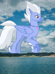 Size: 3024x4032 | Tagged: safe, artist:cloudy glow, artist:jhayarr23, artist:starryshineviolet, edit, editor:jaredking779, imported from derpibooru, silverstream, sky beak, terramar, classical hippogriff, hippogriff, father and child, father and daughter, father and son, feathered fetlocks, female, high res, highrise ponies, irl, jewelry, macro, male, mountain, mountain range, necklace, photo, ponies in real life, raised claw, size difference, smiling, story included