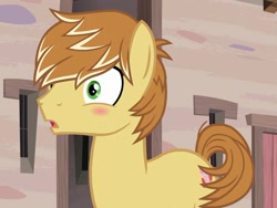Size: 1179x887 | Tagged: safe, imported from derpibooru, screencap, feather bangs, earth pony, pony, hard to say anything, blushing, cropped, cute, male, open mouth, solo, stallion