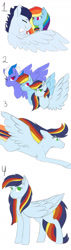 Size: 478x1673 | Tagged: safe, artist:wispyaxolotl, imported from derpibooru, rainbow dash, soarin', oc, oc:skye painter, pegasus, pony, female, filly, foal, male, mare, offspring, parent:rainbow dash, parent:soarin', parents:soarindash, shipping, soarindash, stallion, straight