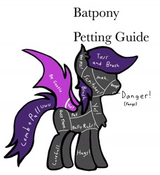 Size: 1414x1548 | Tagged: safe, artist:lostbrony, imported from derpibooru, bat pony, anatomy guide, colored, flat colors, meme, petting, petting guide, simple background, text