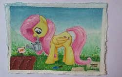 Size: 1096x696 | Tagged: safe, artist:whiskeypanda, imported from derpibooru, fluttershy, pegasus, pony, daytime, garden, gouache, mouth hold, outdoors, sign, signature, solo, traditional art, trowel, vegetables, watering can