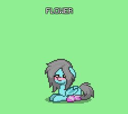 Size: 343x306 | Tagged: safe, imported from derpibooru, oc, oc only, oc:flower popen, bat pony, pony, robot, pony town, blushing, clothes, female, green eyes, mare, sitting, socks, solo, striped socks