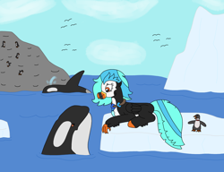 Size: 3130x2401 | Tagged: safe, artist:supahdonarudo, imported from derpibooru, oc, oc only, oc:icebeak, bird, classical hippogriff, hippogriff, orca, penguin, bowtie, cloud, ice, jewelry, looking at each other, looking at someone, lying down, necklace, ocean, prone, water