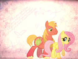 Size: 900x684 | Tagged: safe, artist:phasingirl, edit, imported from derpibooru, big macintosh, fluttershy, earth pony, pegasus, pony, duo, female, fluttermac, male, mare, shipping, stallion, straight, wallpaper, wallpaper edit