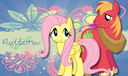 Size: 500x300 | Tagged: safe, artist:phasingirl, edit, imported from derpibooru, big macintosh, fluttershy, earth pony, pegasus, pony, duo, female, fluttermac, male, mare, shipping, stallion, straight, wallpaper, wallpaper edit