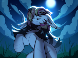 Size: 4000x2982 | Tagged: safe, artist:sugarstar, imported from derpibooru, oc, oc only, earth pony, pony, collar, ear piercing, grass, moon, night, photo, piercing, solo, spiked collar