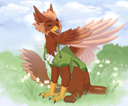 Size: 1200x1000 | Tagged: safe, artist:purplegrim40, imported from derpibooru, oc, oc only, oc:pavlos, griffon, broken bone, broken wing, cast, chest fluff, eared griffon, eyes closed, feather, grass, griffon oc, grooming, injured, one wing out, outdoors, preening, sling, wing cast, wing fluff, wing sling, wings