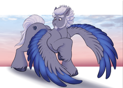 Size: 2722x1960 | Tagged: safe, artist:sallylla, imported from derpibooru, pegasus, pony, :o, alphabittle blossomforth, beard, eyebrows, facial hair, freckles, full body, g5, hooves, looking at self, male, open mouth, race swap, raised hoof, solo, spread wings, stallion, standing, sunset, surprised, unshorn fetlocks, wings