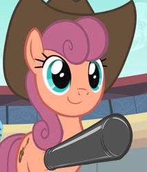Size: 1231x1440 | Tagged: safe, edit, edited screencap, editor:anonymous, imported from derpibooru, screencap, wildwood flower, earth pony, pony, the last roundup, /mlp/ latex requests, clothes, cowboy hat, evening gloves, female, gloves, hat, latex, latex gloves, long gloves, looking forward, mare, raised hoof, solo