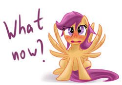 Size: 1000x700 | Tagged: safe, artist:redheadfly, imported from derpibooru, scootaloo, pony, blushing, older, solo, spread wings, tumblr:ask-adultscootaloo, wingboner, wings