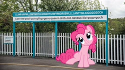 Size: 3861x2172 | Tagged: safe, imported from derpibooru, pinkie pie, earth pony, pony, female, irl, llanfair­pwllgwyngyll­gogery­chwyrn­drobwll­llan­tysilio­gogo­goch, mare, photo, ponies in real life, solo, united kingdom, wales