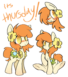 Size: 714x813 | Tagged: safe, artist:muffinz, imported from derpibooru, oc, oc only, oc:thursday, earth pony, pony, blushing, flower, simple background, solo, sunflower, weird eyes, white background