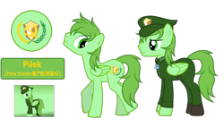 Size: 6536x3713 | Tagged: safe, artist:equestria secret guard, imported from derpibooru, oc, oc only, oc:pilek, pegasus, pony, clothes, dog tags, male, pegasus oc, simple background, stallion, transparent background, uniform, wings