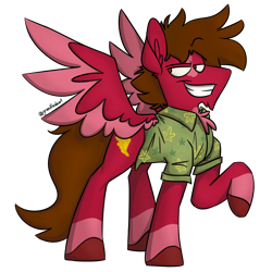 Size: 1500x1500 | Tagged: safe, artist:grandfinaleart, imported from derpibooru, oc, oc only, oc:grand finale, pegasus, pony, brown eyes, brown hair, brown mane, brown tail, chest fluff, chin fluff, clothes, digital art, facial hair, goatee, hawaiian shirt, male, pegasus oc, red fur, shirt, simple background, sitting, smiling, solo, spread wings, stallion, stallion oc, tail, transparent background, unshorn fetlocks, wings