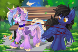 Size: 1920x1280 | Tagged: safe, artist:xvostik, imported from derpibooru, oc, oc only, alicorn, bird, pegasus, pony, bench, cheek fluff, chest fluff, collar, commission, cute, duo, duo male and female, female, leash, leaves, male, mare, rope, smiling, stallion, tree, unshorn fetlocks, ych result