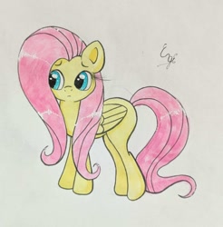 Size: 1453x1478 | Tagged: safe, artist:engi, imported from derpibooru, fluttershy, pegasus, pony, :c, cute, female, frown, mare, shyabetes, simple background, solo, traditional art, watercolor painting