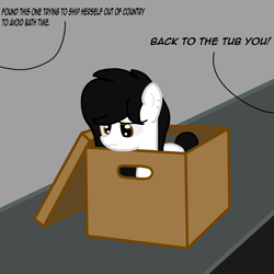 Size: 3000x3000 | Tagged: safe, artist:bright skie, imported from derpibooru, oc, oc only, oc:bright skie, pony, black mane, box, offscreen character, pony in a box, small, smol, solo