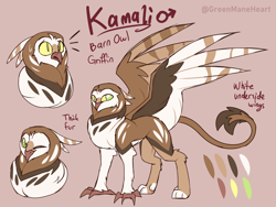 Size: 4000x3000 | Tagged: safe, artist:greenmaneheart, imported from derpibooru, oc, oc:kamali, griffon, male, reference sheet, solo