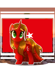 Size: 720x960 | Tagged: safe, artist:diniarvegafinahar, imported from derpibooru, oc, oc only, pony, turkey (country)